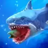 鲨鱼捕食