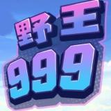 野王999（免广告奖励）