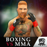 拳击与MMA战斗机