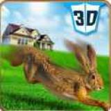 宠物兔VS狗攻击3D