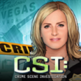 CSI:暗罪谜踪