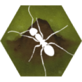 蚂蚁生存模拟