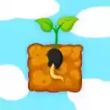 植物扎根