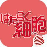 工作细胞