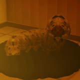 宠物照看Petsitting