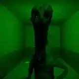 邪恶之地