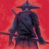 忍者岚2:暗影归来