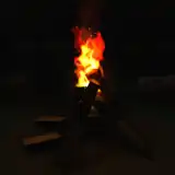 迷失森林