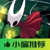 空洞骑士：丝之歌
