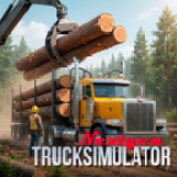 Nextgen卡车模拟器