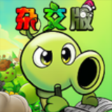 植物大战僵尸杂交重置版